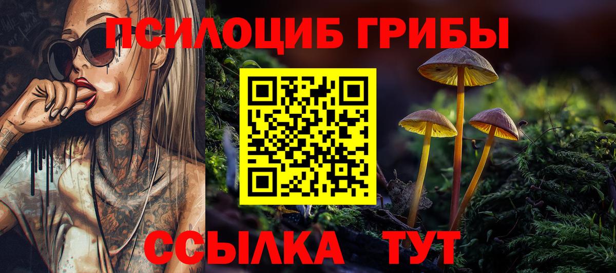 Псилоцибиновые грибы мицелий Канаш