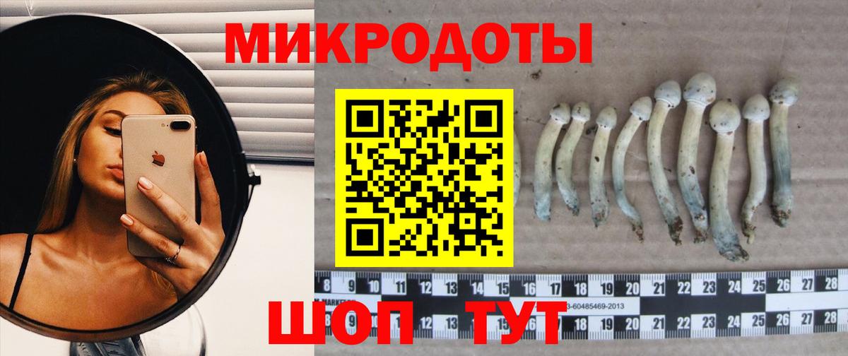 Галлюциногенные грибы Cubensis  Псилоцибиновые грибы MAGIC MUSHROOMS  Вход с VPN  Канаш 